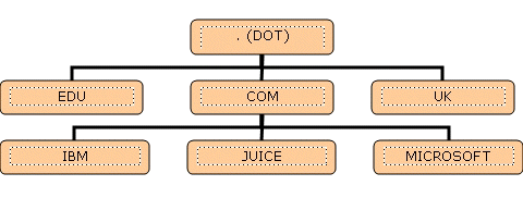  domain name structure-2
